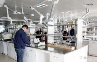 肥西縣高新技術(shù)企業(yè)認(rèn)定實(shí)現(xiàn)新突破，社會(huì)經(jīng)濟(jì)咨詢服務(wù)賦能產(chǎn)業(yè)升級(jí)